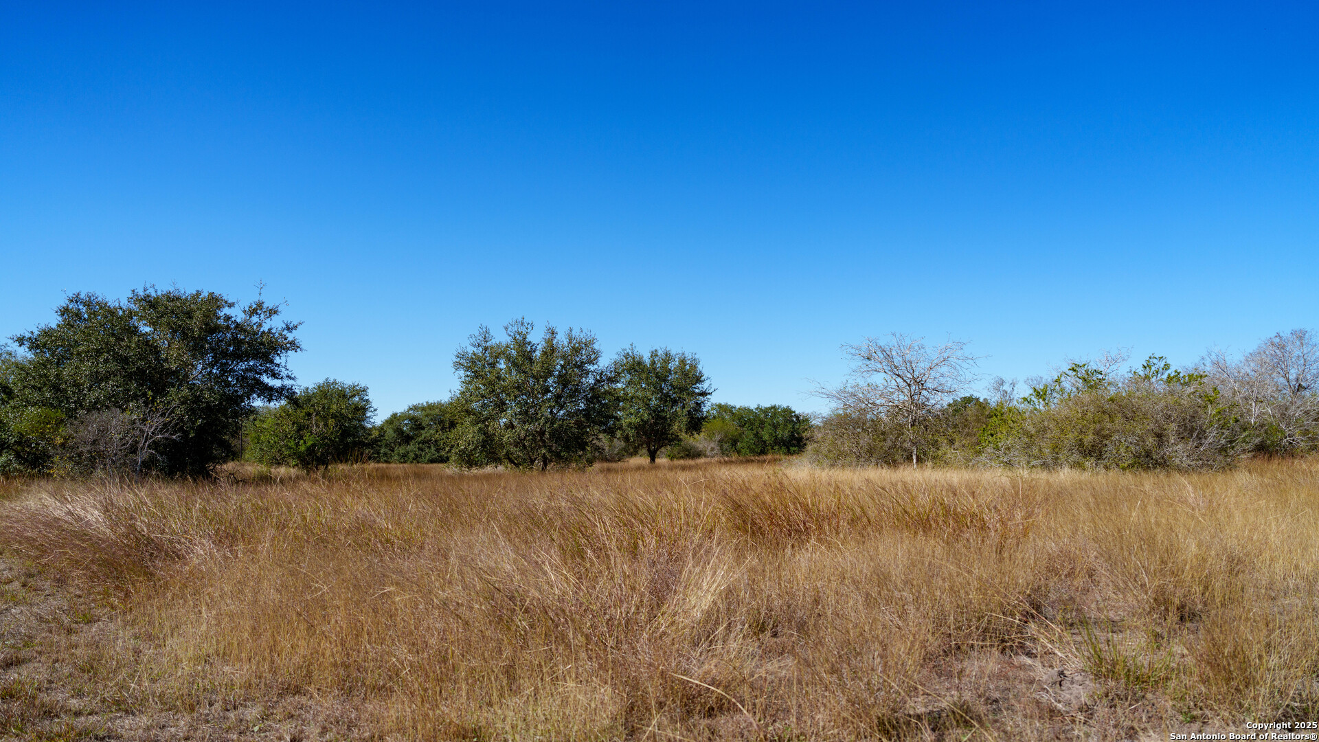 000 County Road 405 Beeville TX 78102