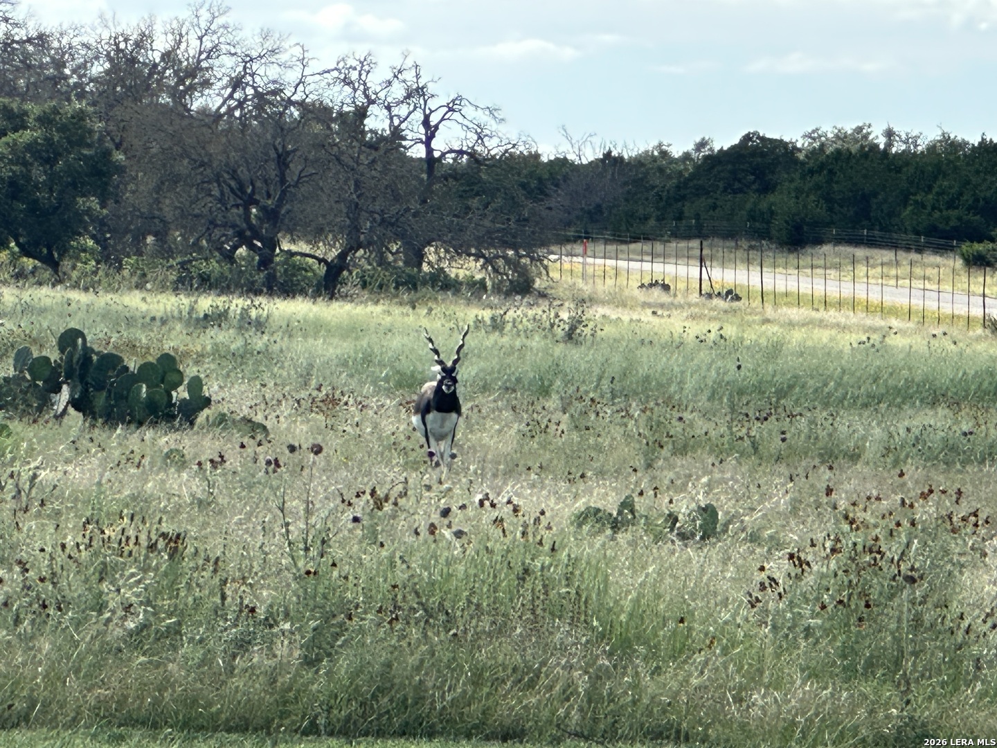 78 Firsching Kerrville TX 78028