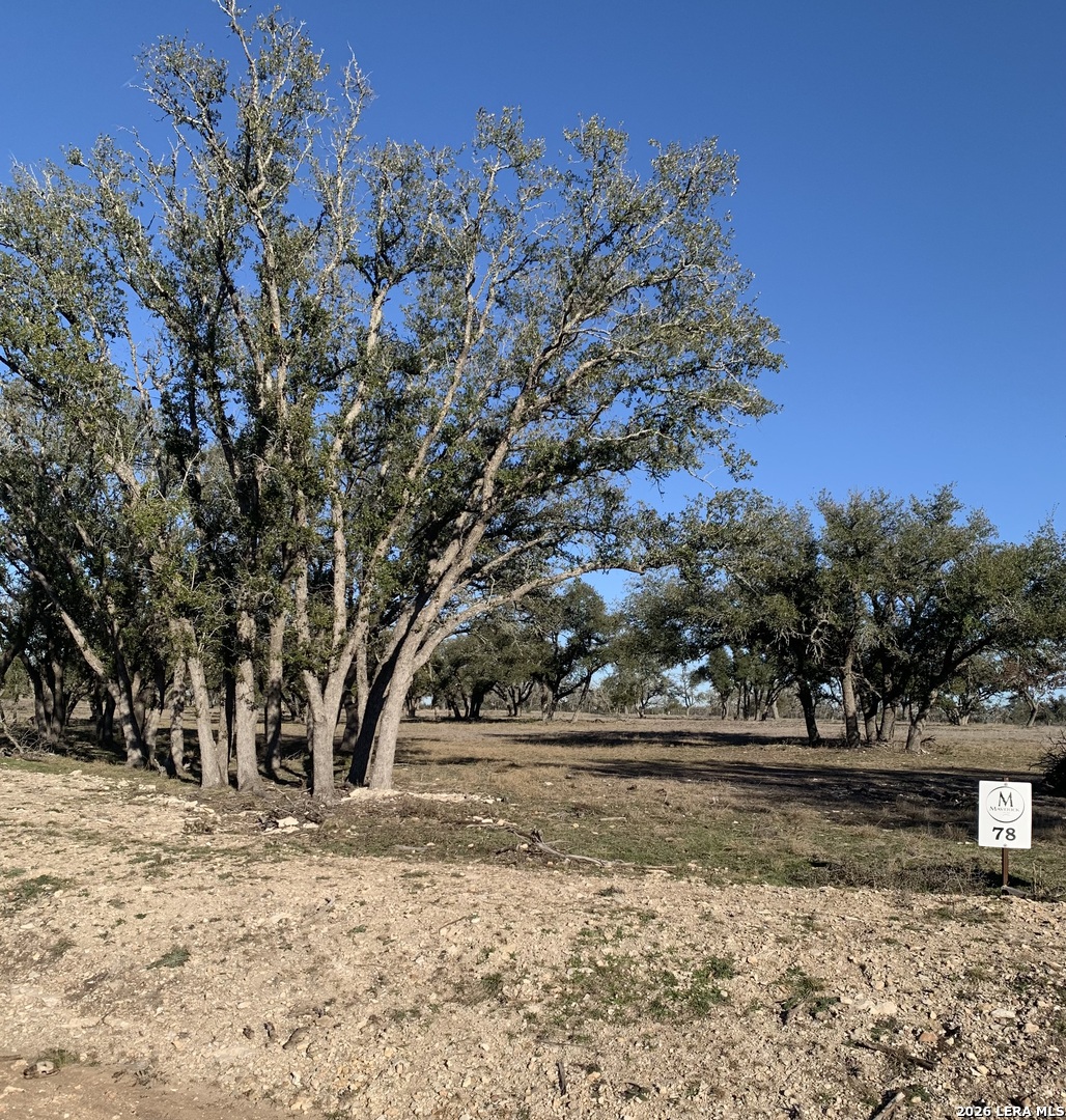 Lot 78 Stock Pond Drive Harper TX 78631
