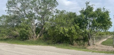 00 Cr 613 Skidmore TX 78389