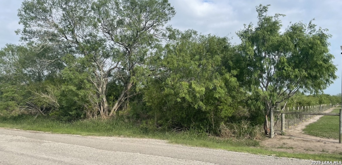 00 Cr 613 Skidmore TX 78389