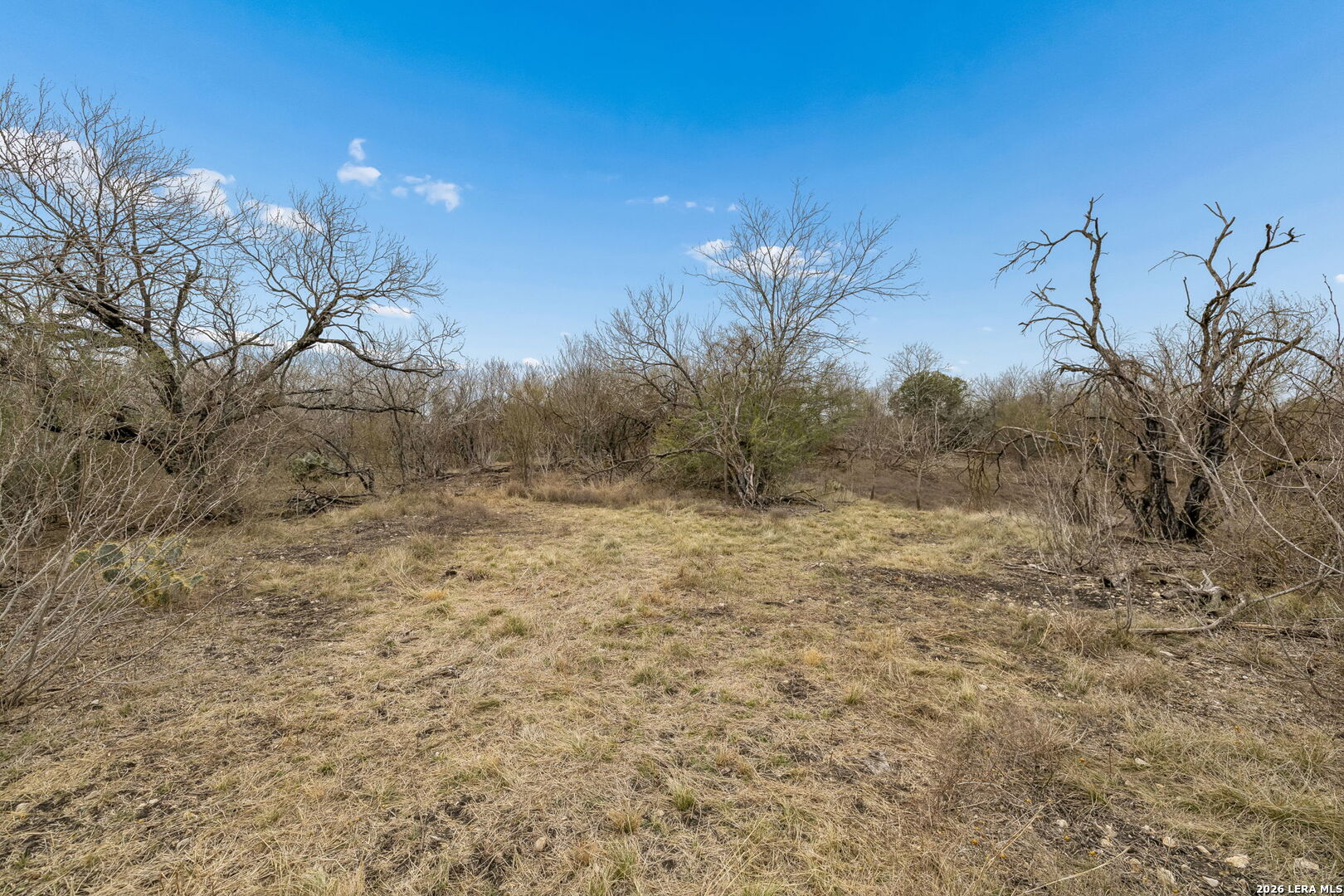 0 N Beyer Marion TX 78124