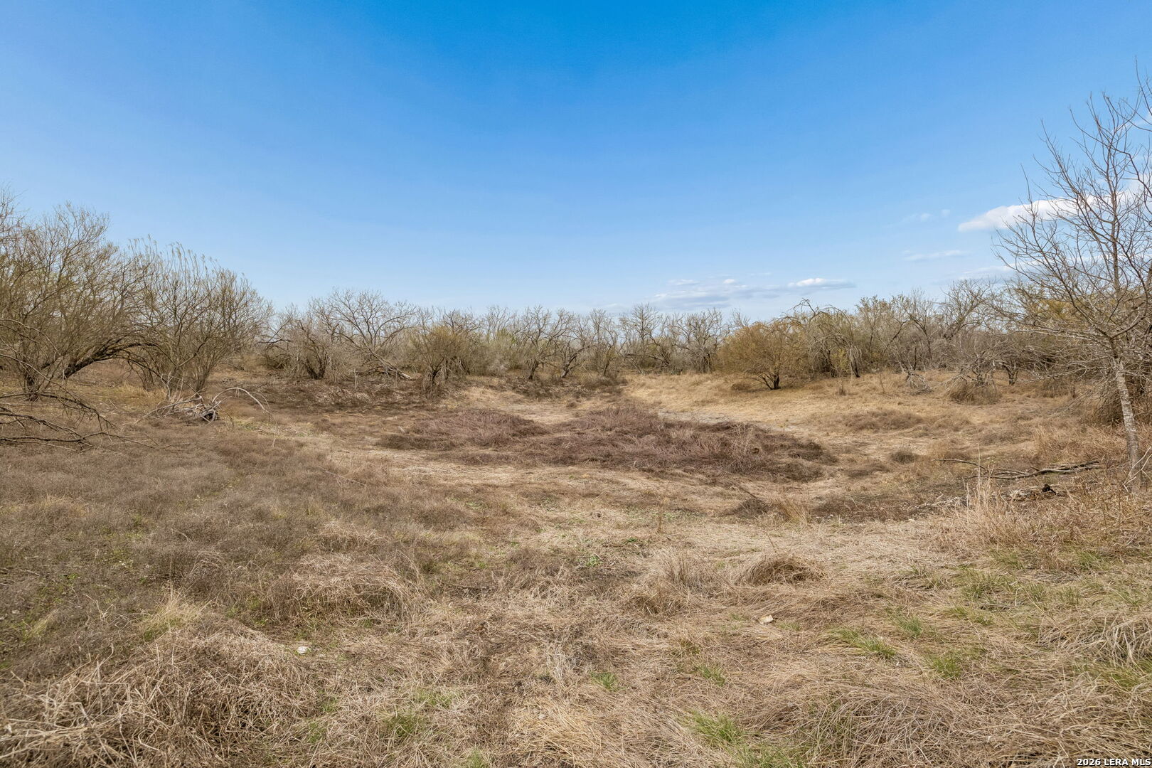 0 N Beyer Marion TX 78124