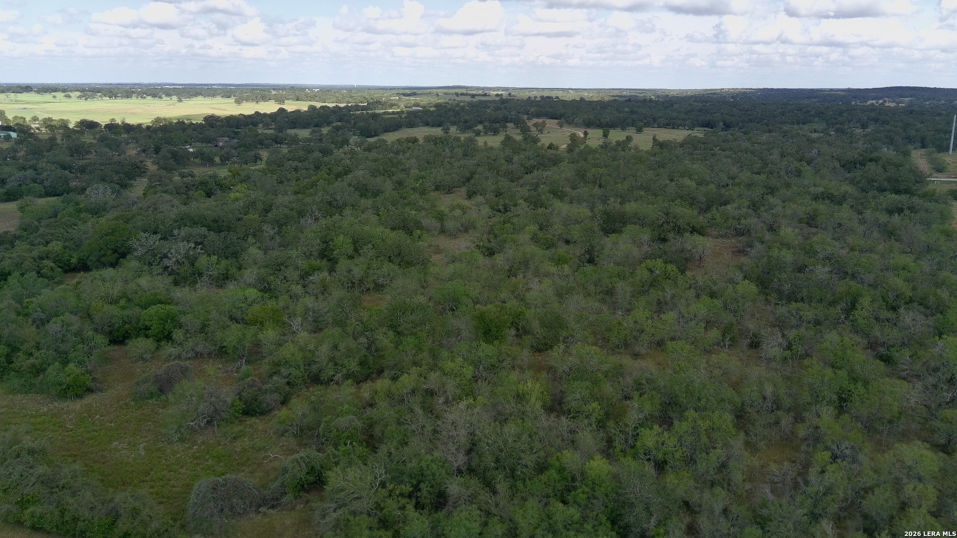 39 Ac Dowdy Kingsbury TX 78638