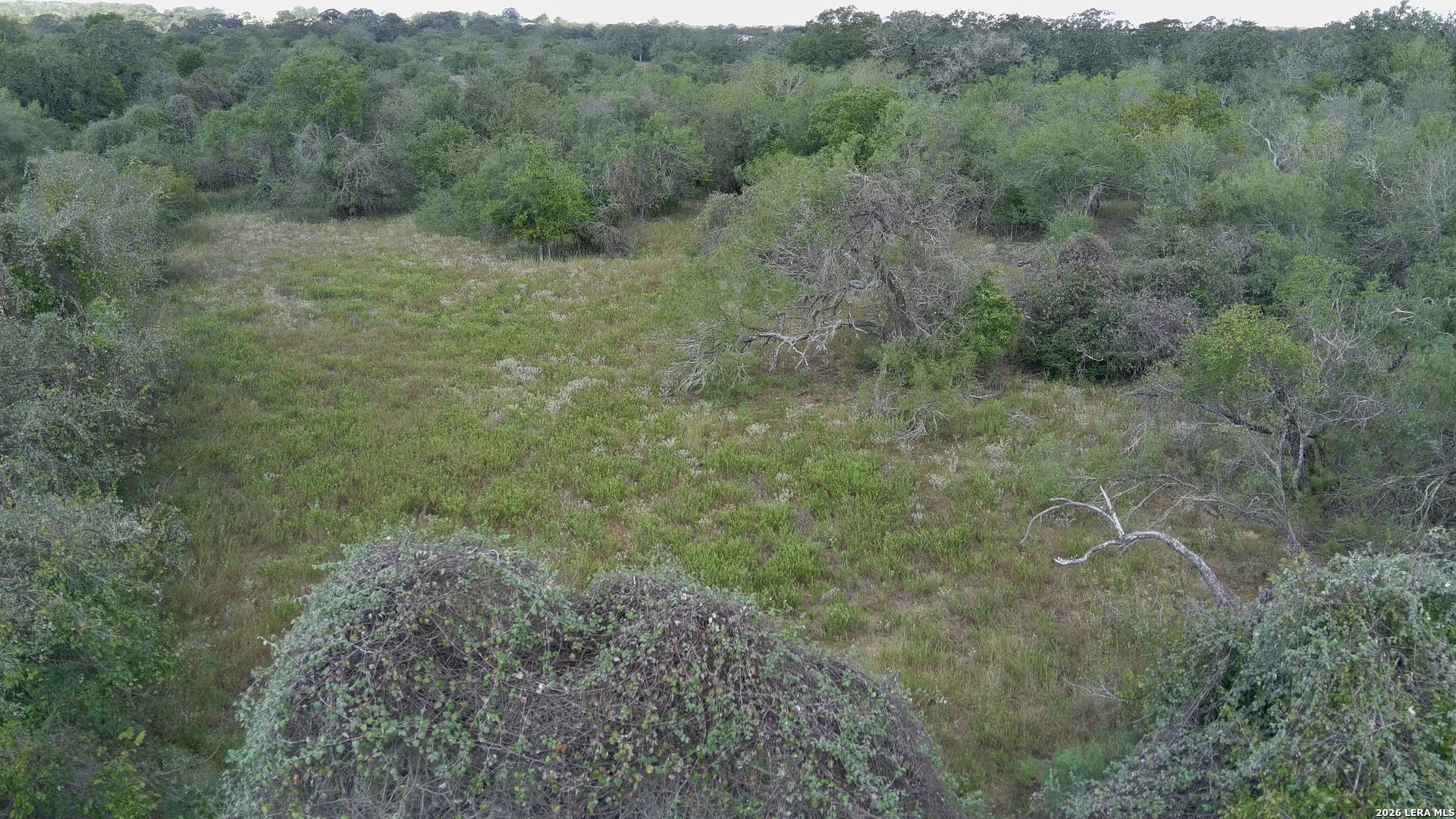 39 Ac Dowdy Kingsbury TX 78638