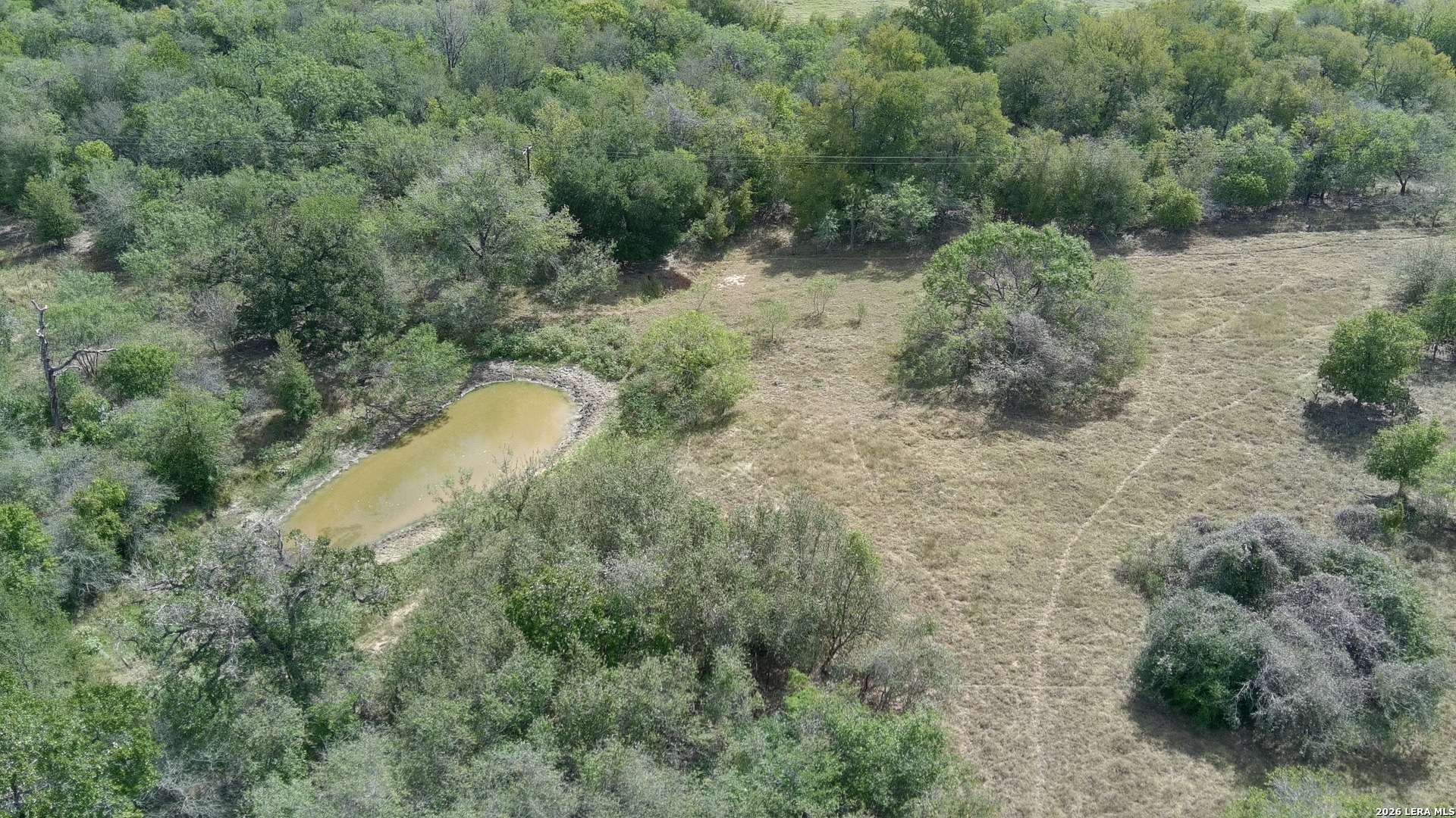 39 Ac Dowdy Kingsbury TX 78638