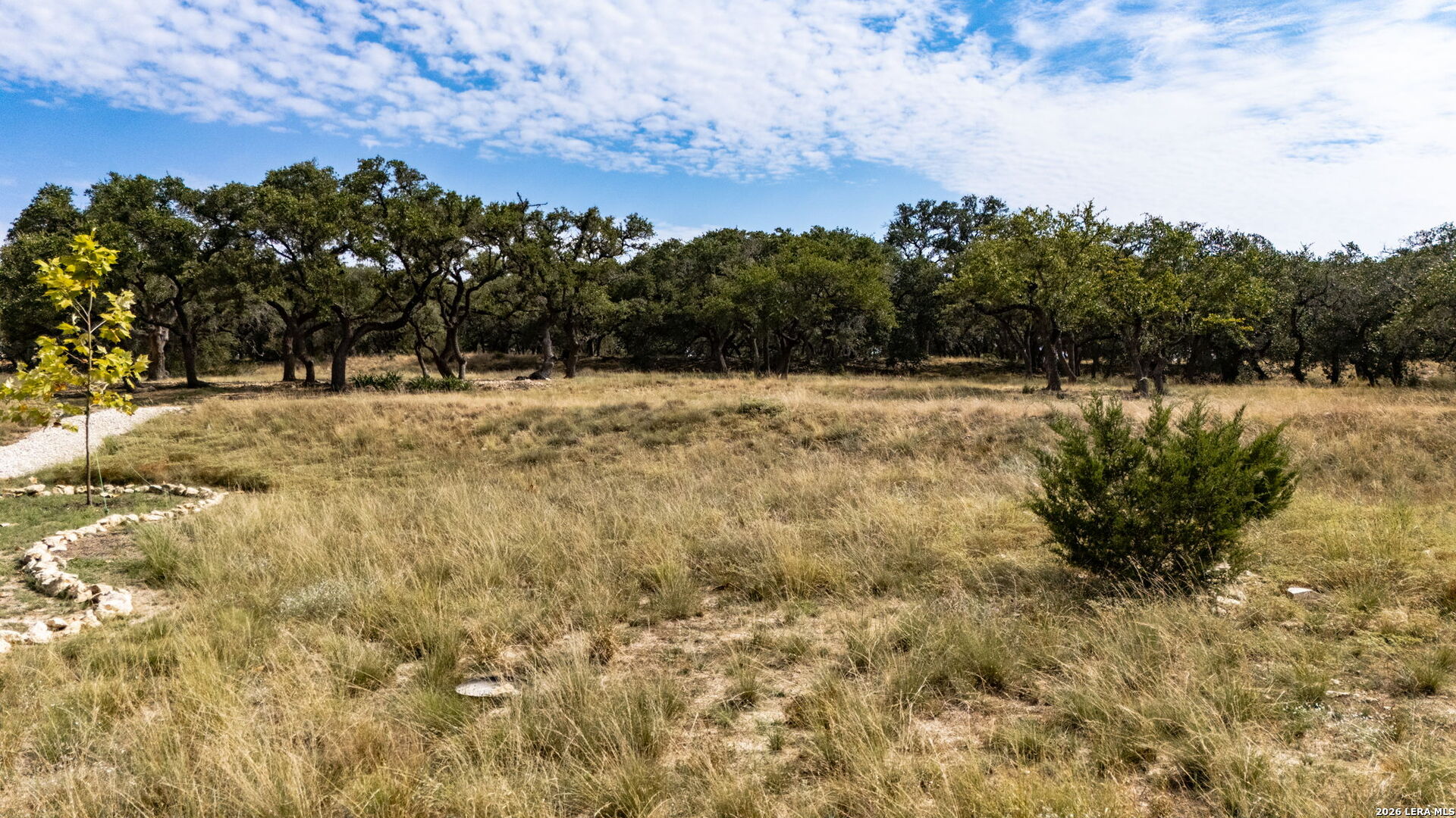 928 Annabelle Avenue Bulverde TX 78163