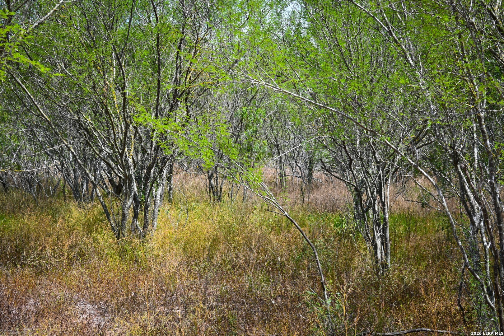 11.64+/- Acres County Road 158 Kenedy TX 78119
