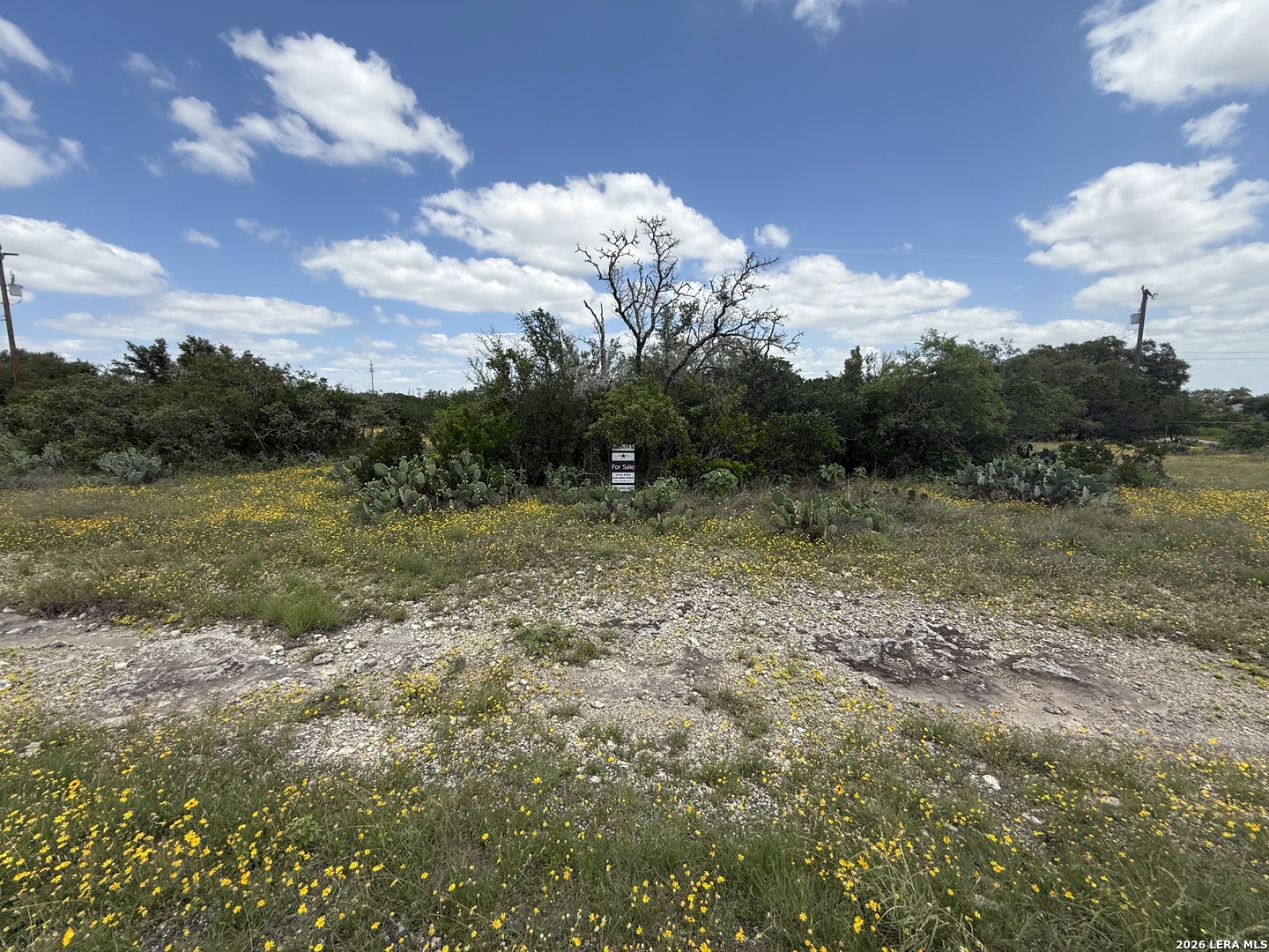 510 Ridge View Drive San Antonio TX 78253