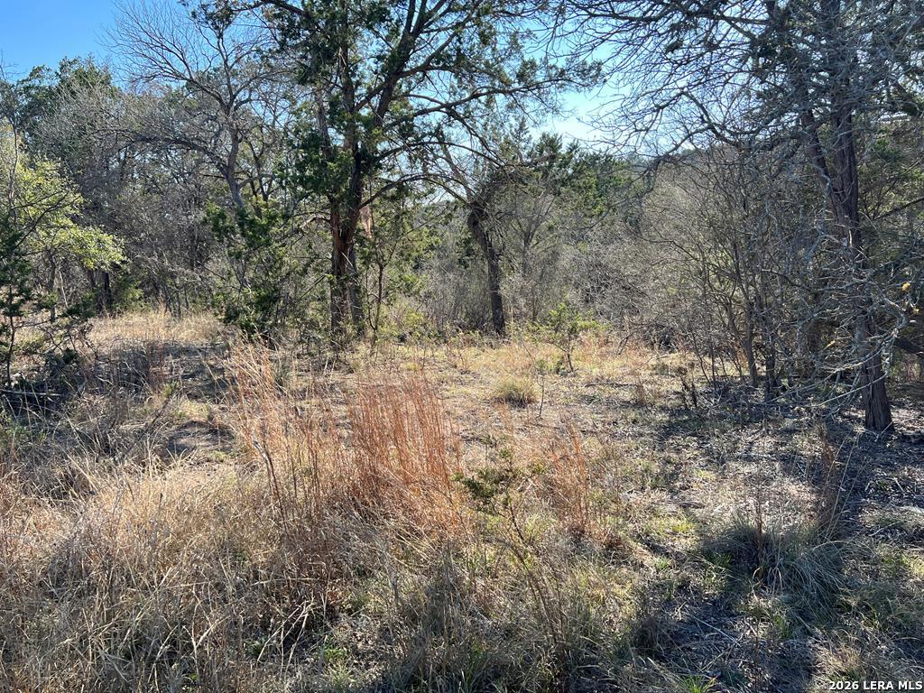 191 Scott Drive Center Point TX 78010