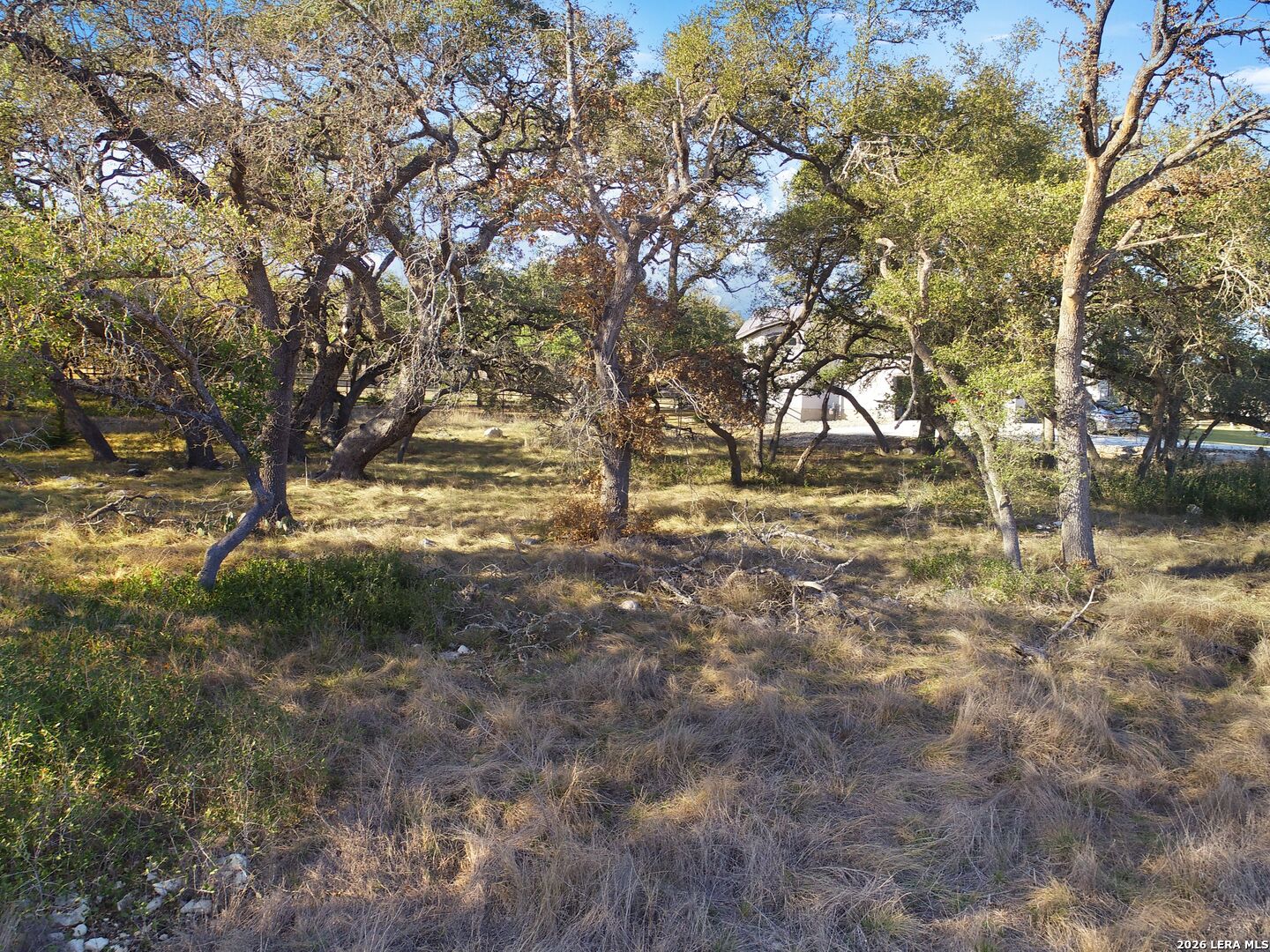 942 Maximino Ridge Bulverde TX 78163