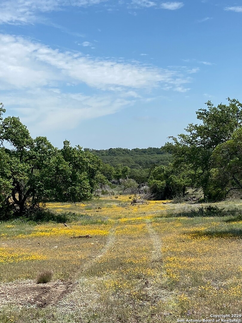 Tbd Taurus Lane Taurus Junction TX 76849