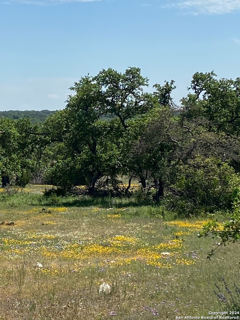 Tbd Taurus Lane Taurus Junction TX 76849