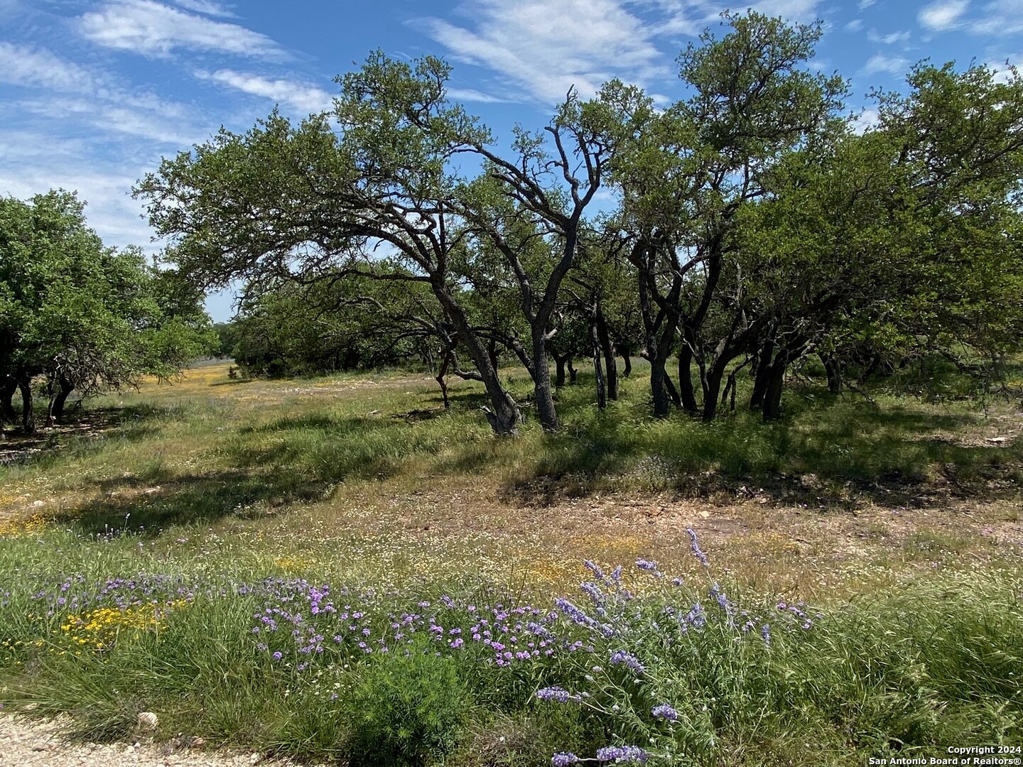 Tbd Taurus Lane Taurus Junction TX 76849