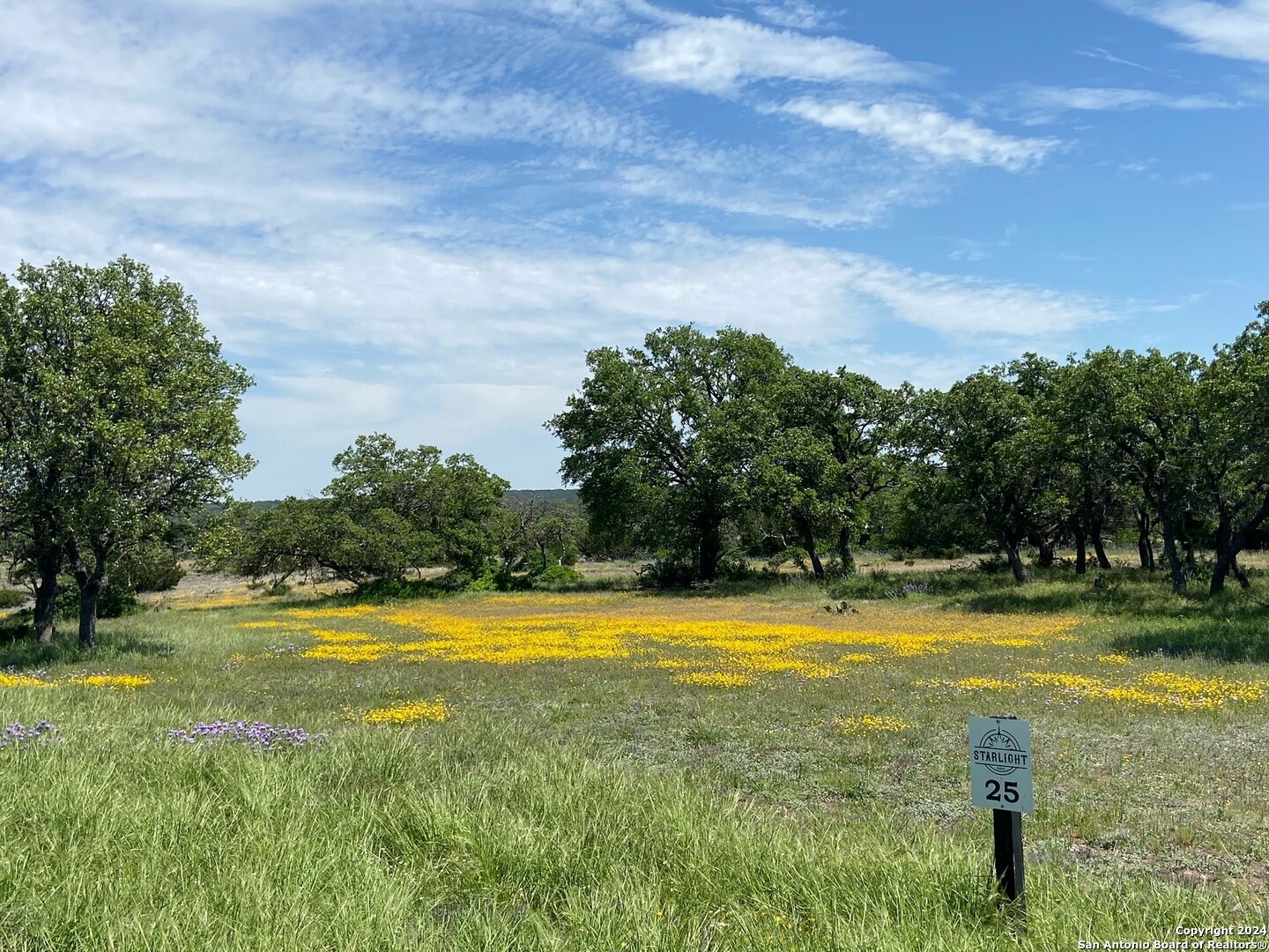 Tbd Taurus Lane Taurus Junction TX 76849
