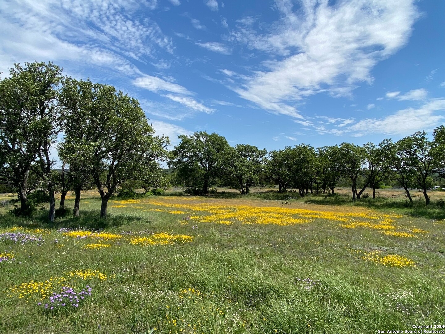 Tbd Taurus Lane Taurus Junction TX 76849