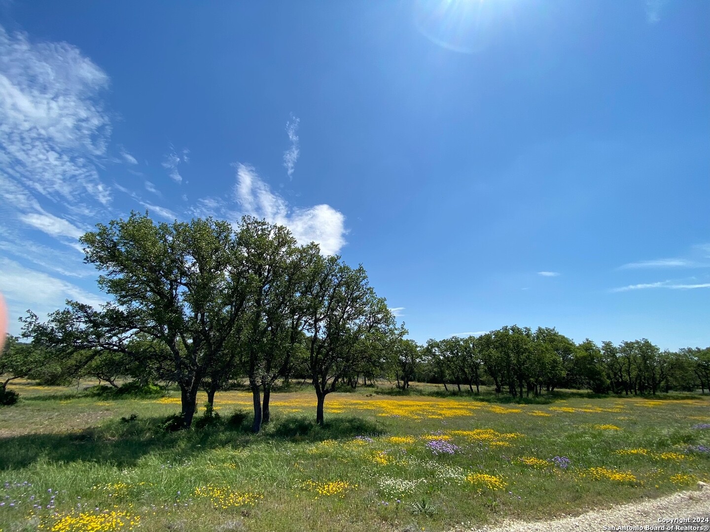 Tbd Taurus Lane Taurus Junction TX 76849