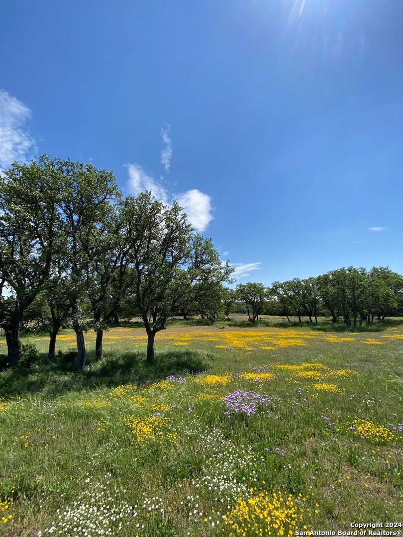 Tbd Taurus Lane Taurus Junction TX 76849