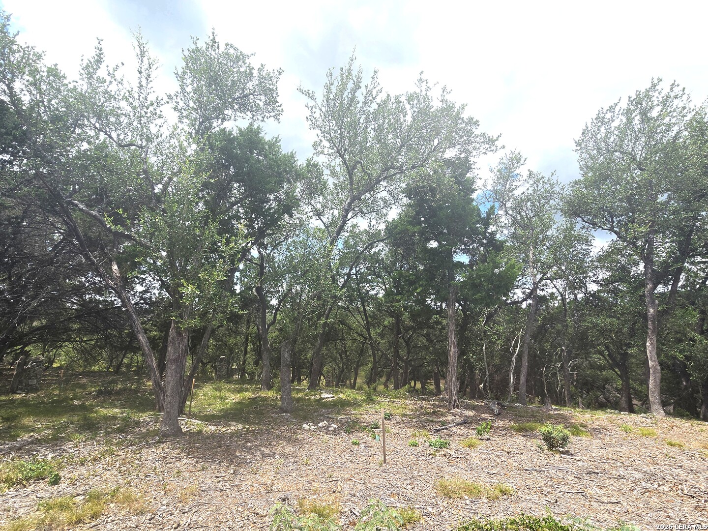 2012 Big Spring Canyon Lake TX 78133