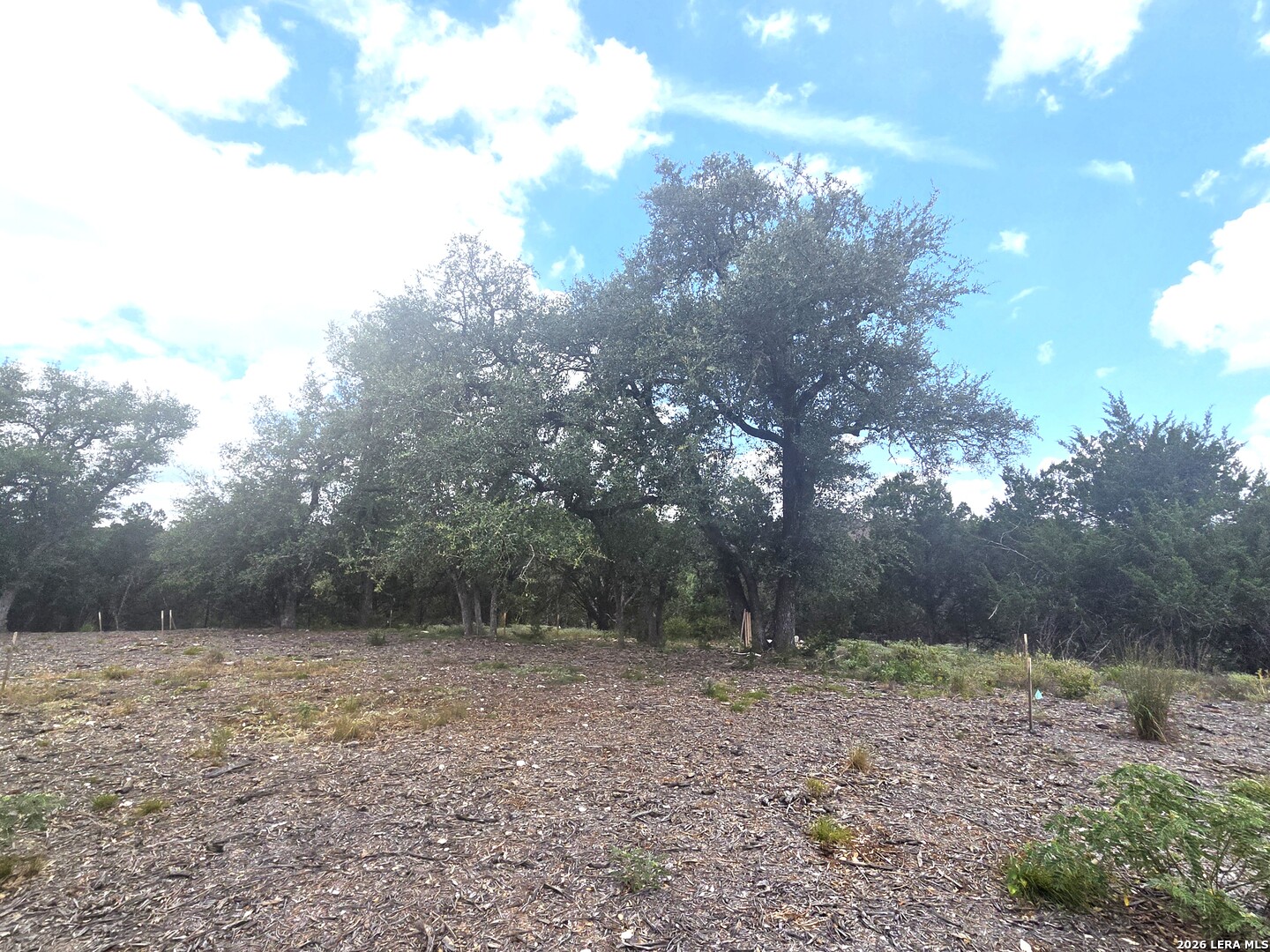 2012 Big Spring Canyon Lake TX 78133