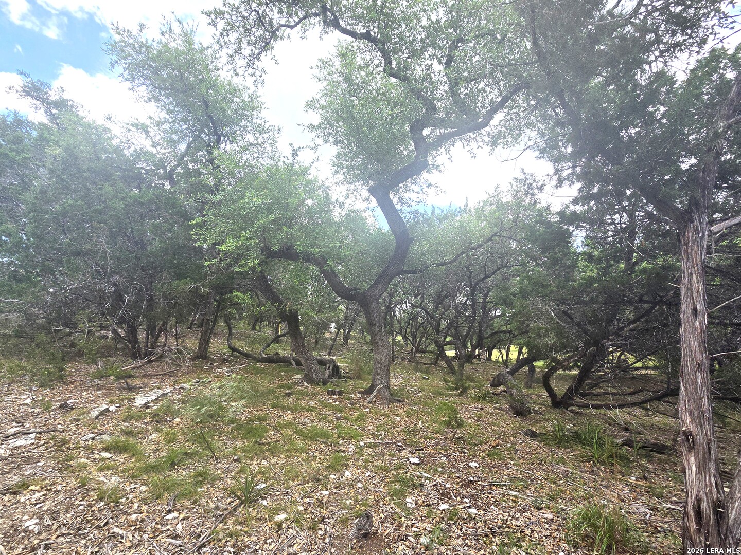 2012 Big Spring Canyon Lake TX 78133