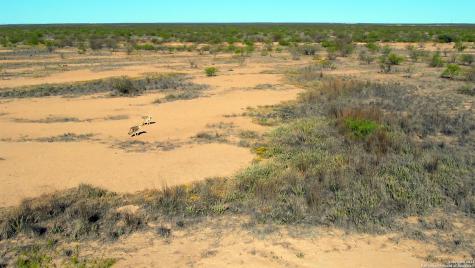 Tbd County Road 124 Pecos TX 79772