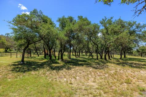 429 Spanish Oak Harper TX 78631