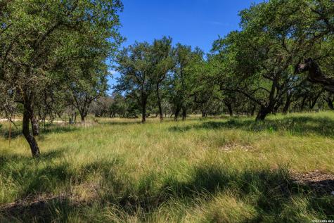 429 Spanish Oak Harper TX 78631
