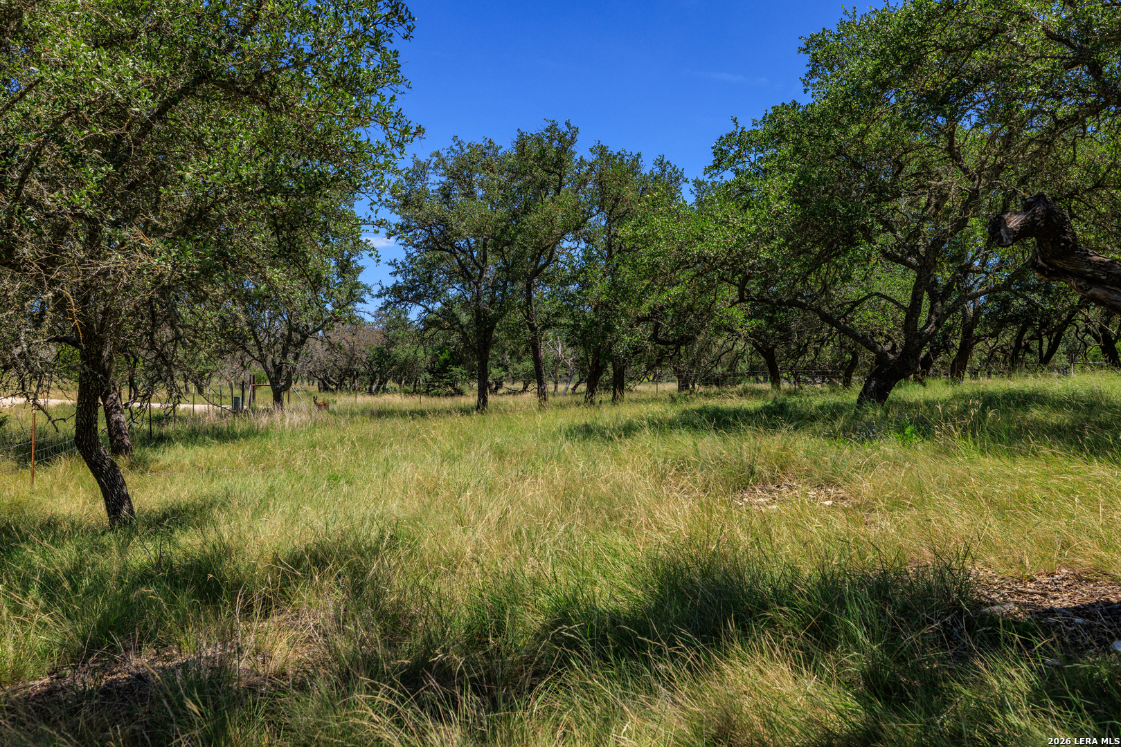 429 Spanish Oak Harper TX 78631