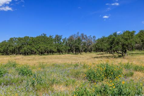 429 Spanish Oak Harper TX 78631