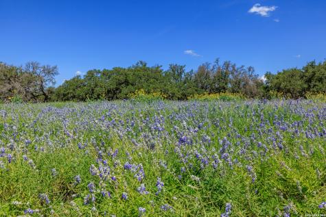 429 Spanish Oak Harper TX 78631