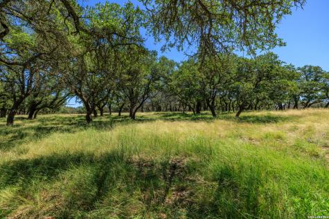 429 Spanish Oak Harper TX 78631