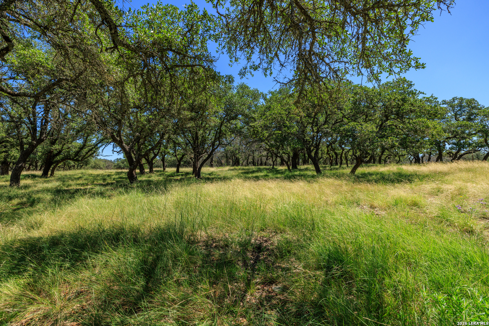 429 Spanish Oak Harper TX 78631