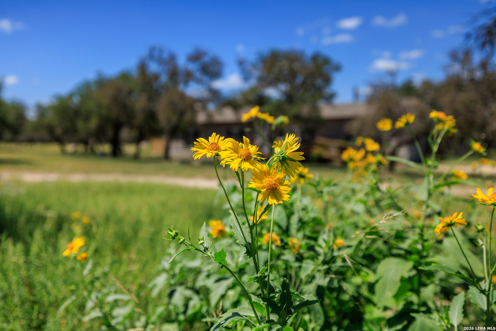 429 Spanish Oak Harper TX 78631