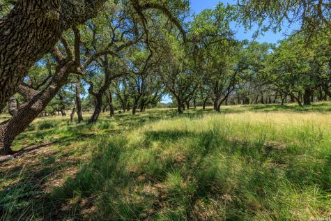 429 Spanish Oak Harper TX 78631