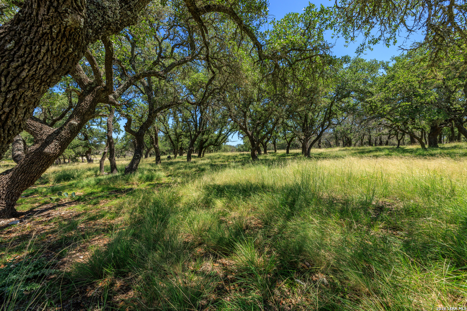 429 Spanish Oak Harper TX 78631