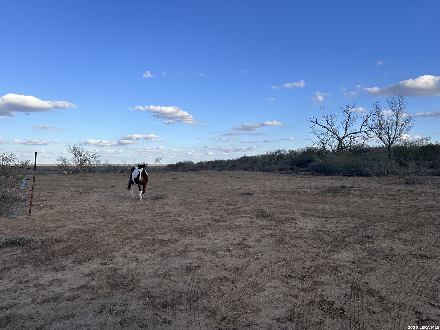 002 County Road 354 Charlotte TX 78011