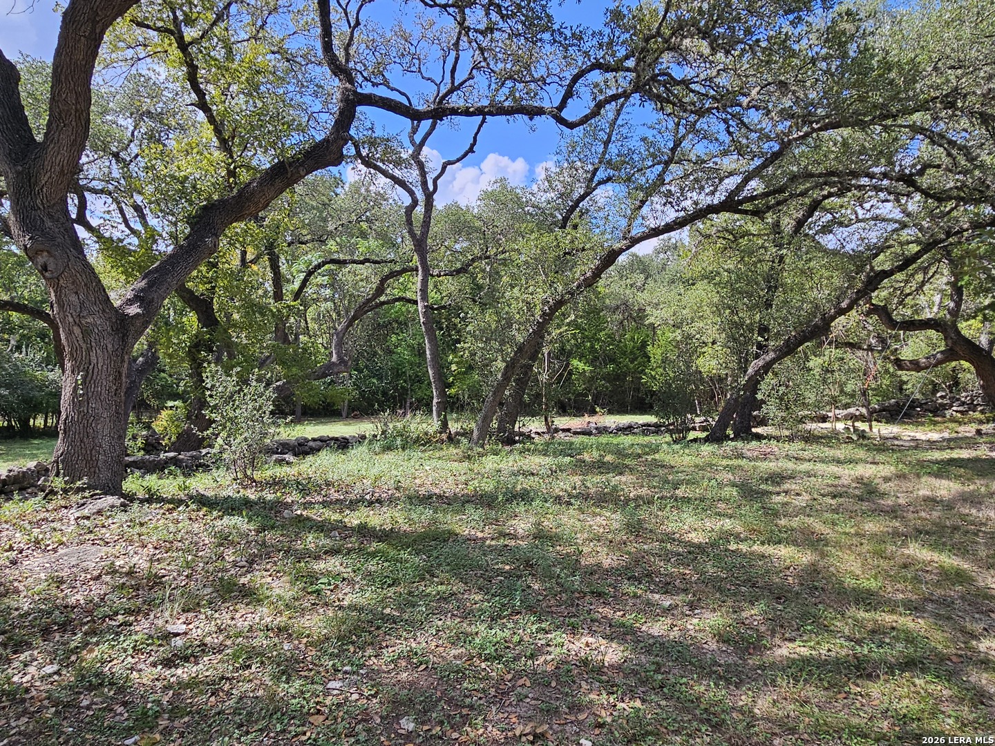1648 Lake Spring Branch TX 78070