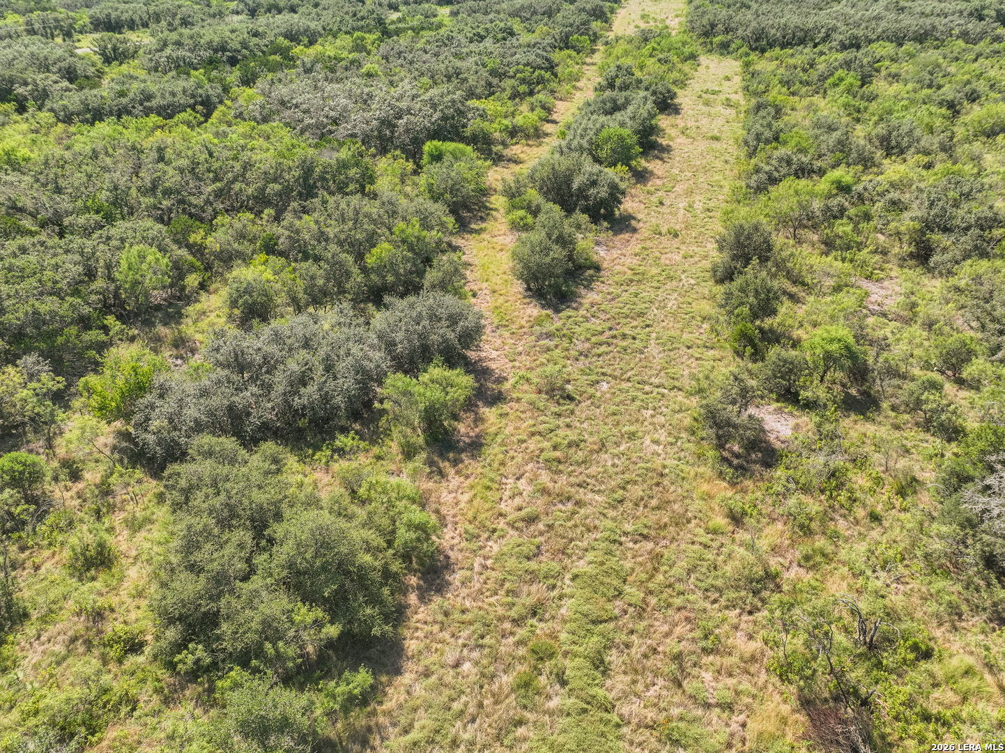 Lot 41 Sky View Ranch Dhanis TX 78850