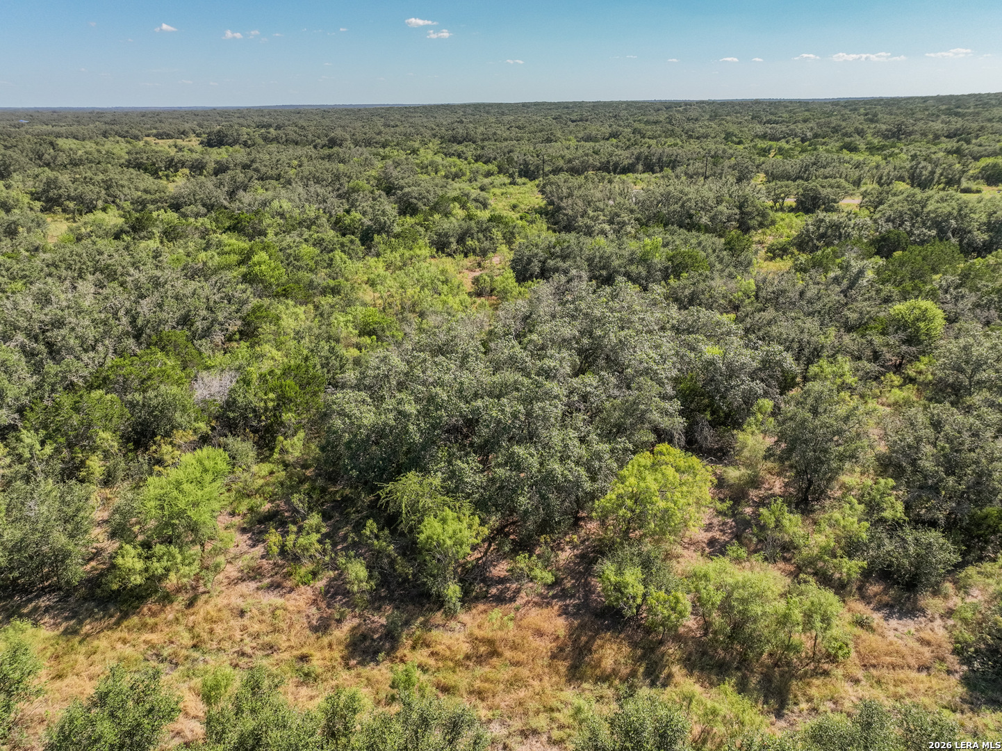 Lot 41 Sky View Ranch Dhanis TX 78850