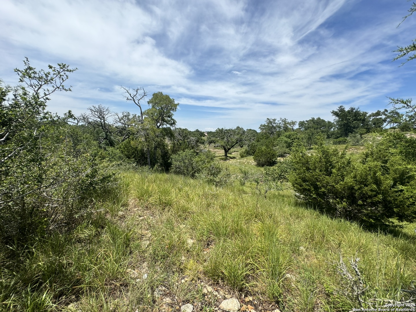 134 W Eli Chandler Blanco TX 78606