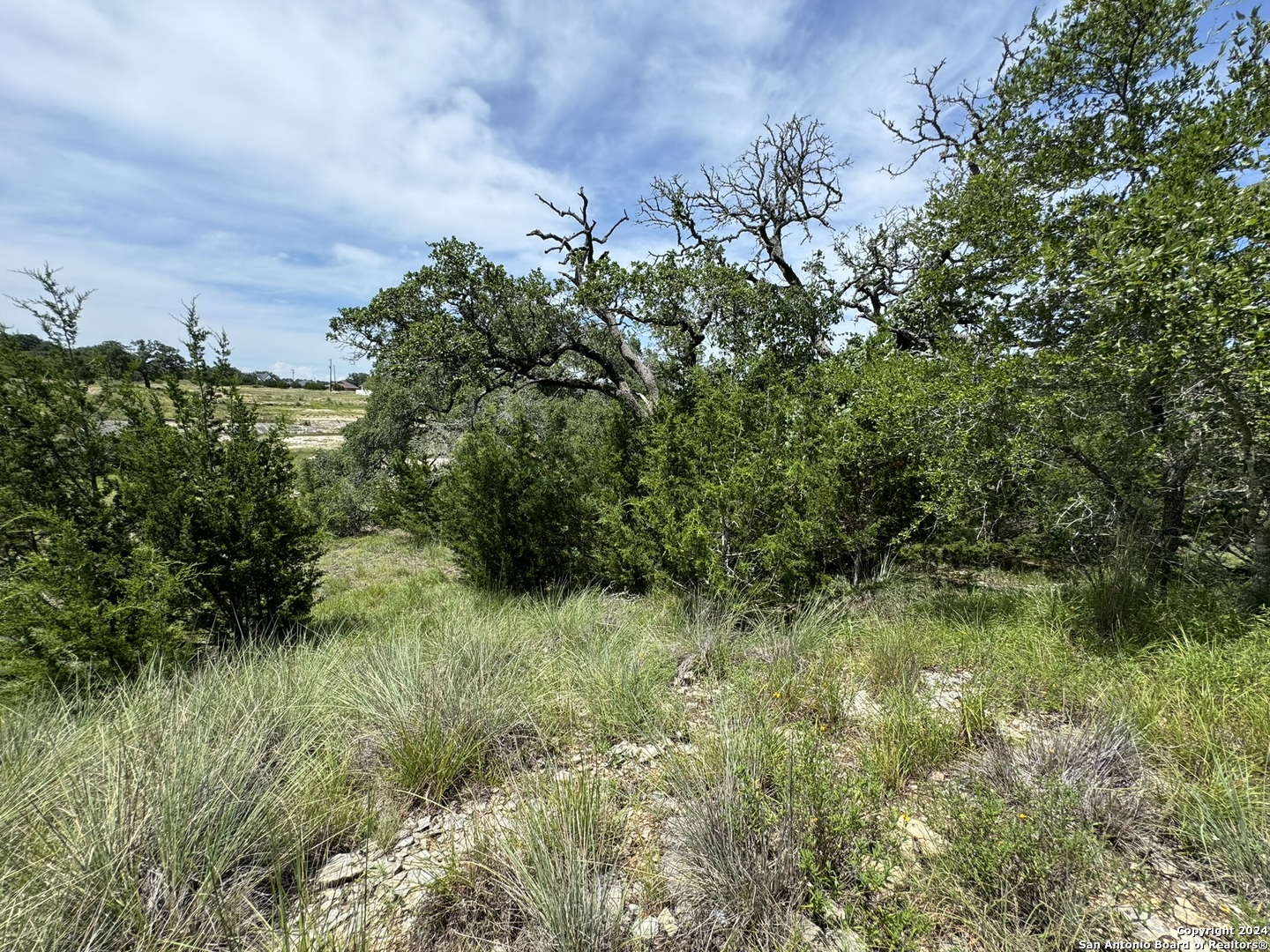 134 W Eli Chandler Blanco TX 78606