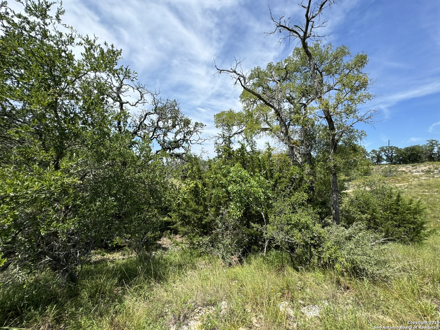 134 W Eli Chandler Blanco TX 78606