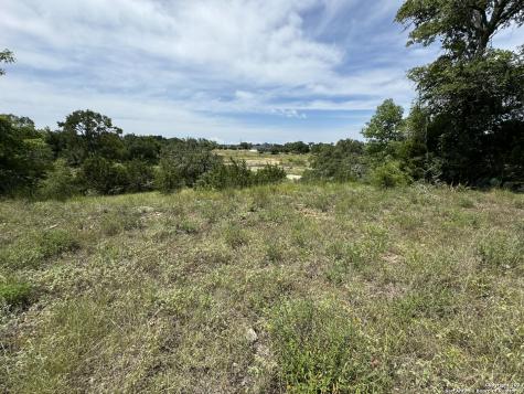 134 W Eli Chandler Blanco TX 78606