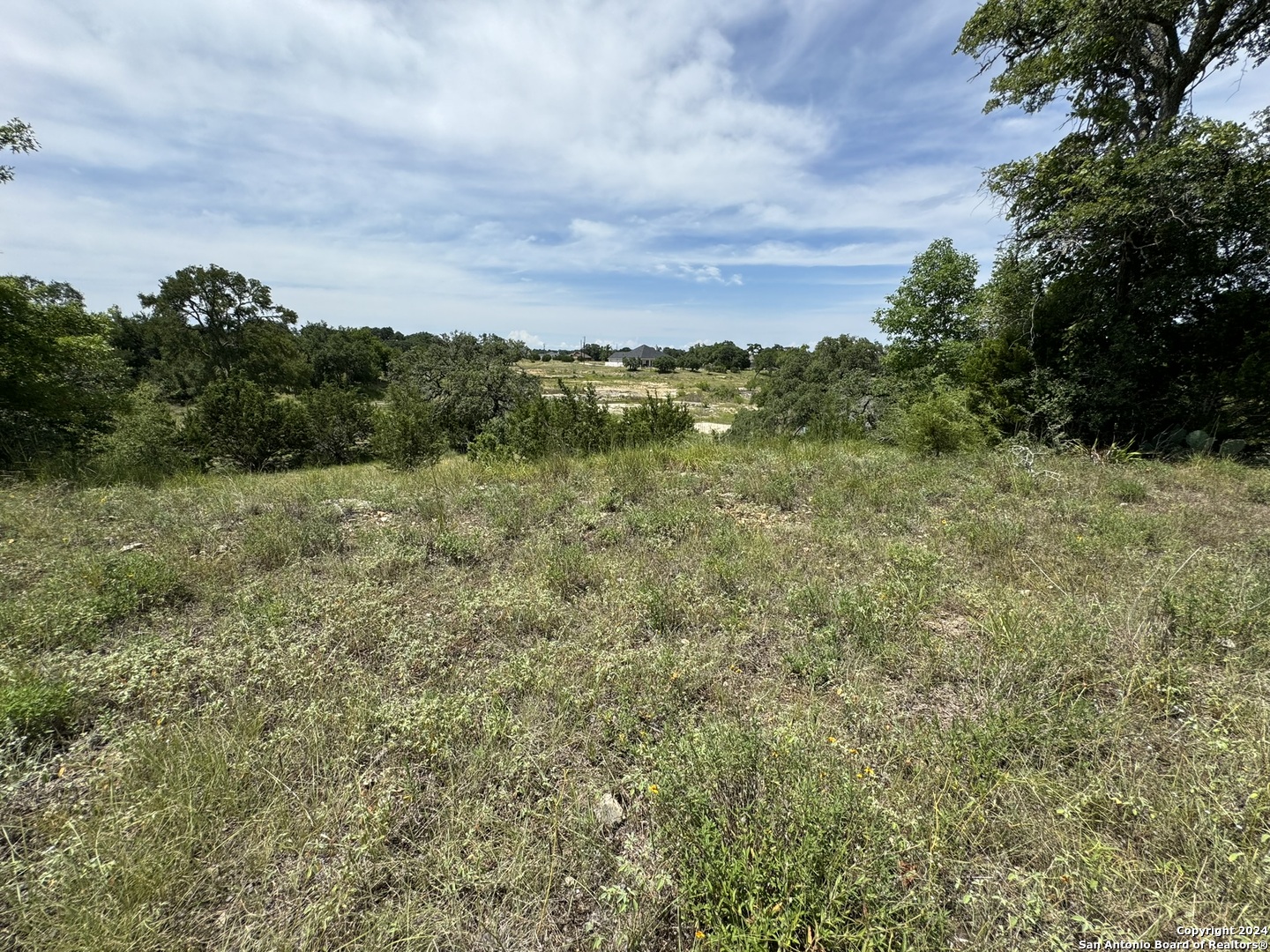 134 W Eli Chandler Blanco TX 78606