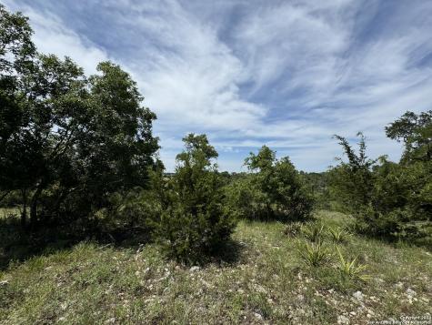 134 W Eli Chandler Blanco TX 78606