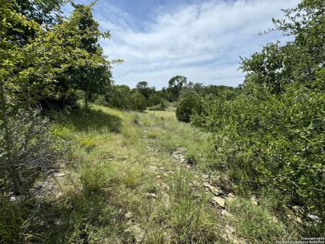 134 W Eli Chandler Blanco TX 78606