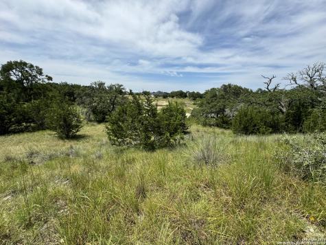 134 W Eli Chandler Blanco TX 78606
