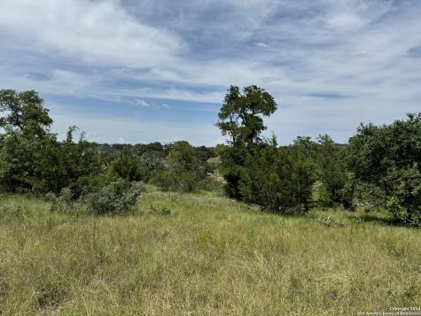 134 W Eli Chandler Blanco TX 78606