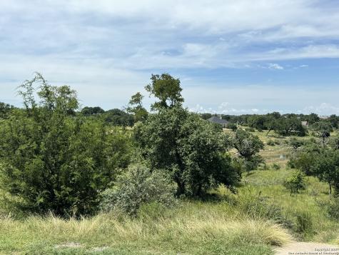 134 W Eli Chandler Blanco TX 78606